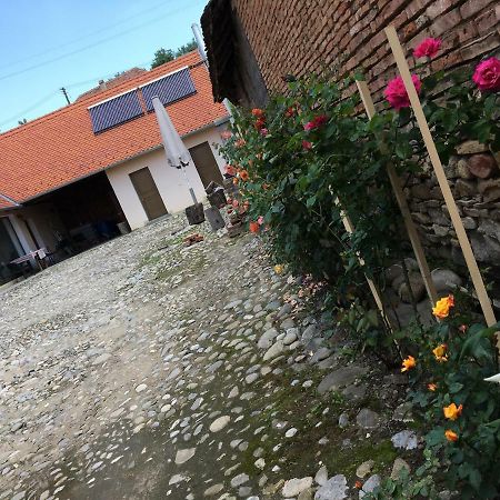 Casa Saseasca Villa Saschiz Bagian luar foto